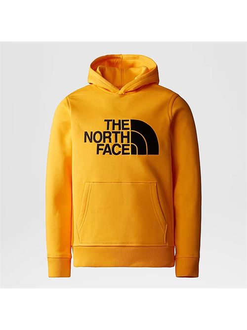 drew peak p/o hoodie THE NORTH FACE | NF0A82EN56P1